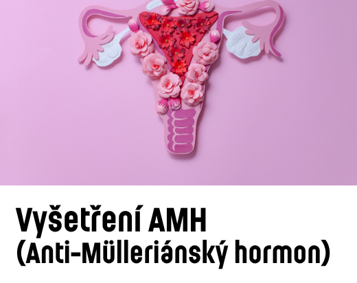 Vyšetření AMH (Anti-Mülleriánský hormon)